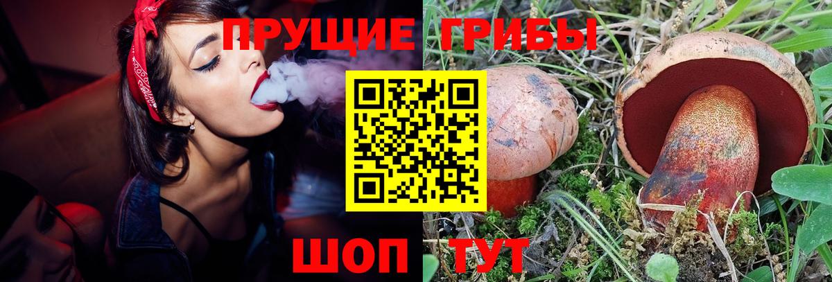 Александров  Галлюциногенные грибы GOLDEN TEACHER  Вход с VPN 